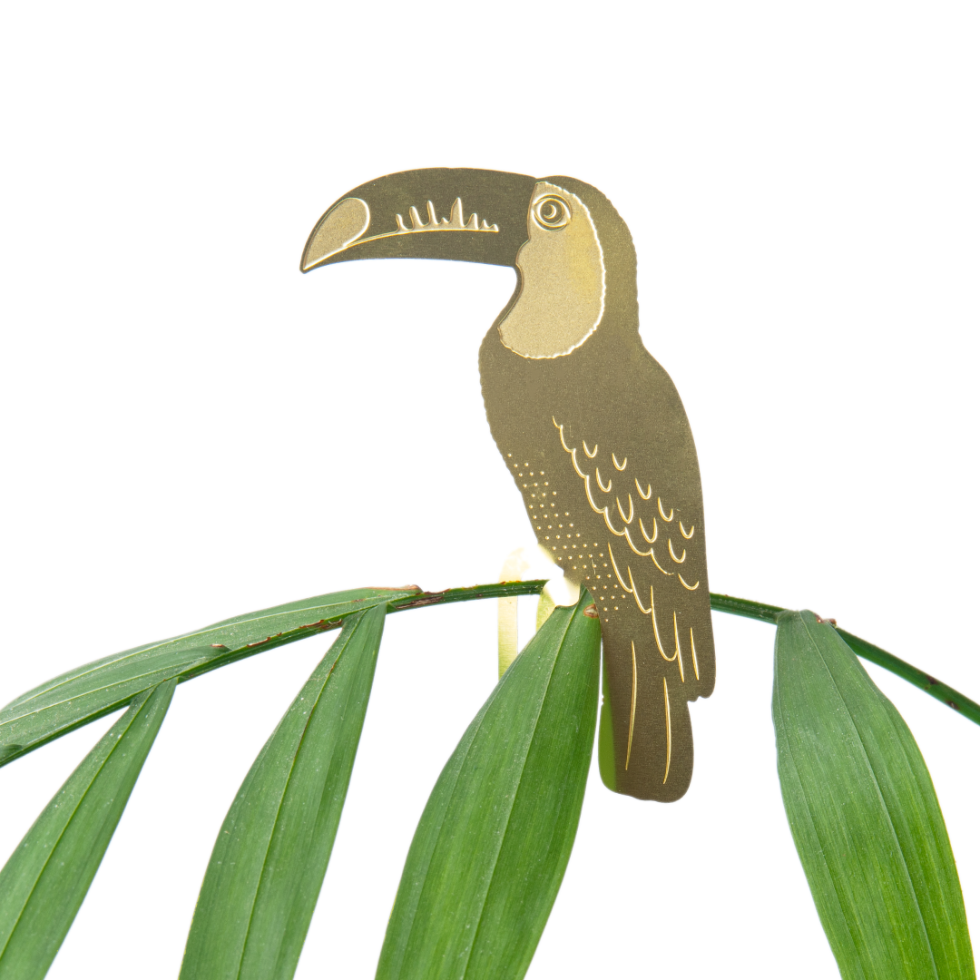 TOUCAN PLANT DECORATION