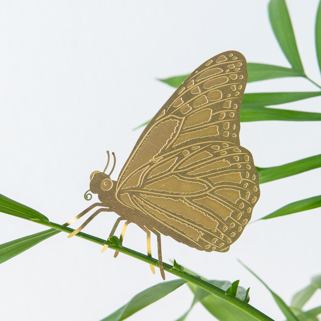 BUTTERFLY PLANT DECORATION