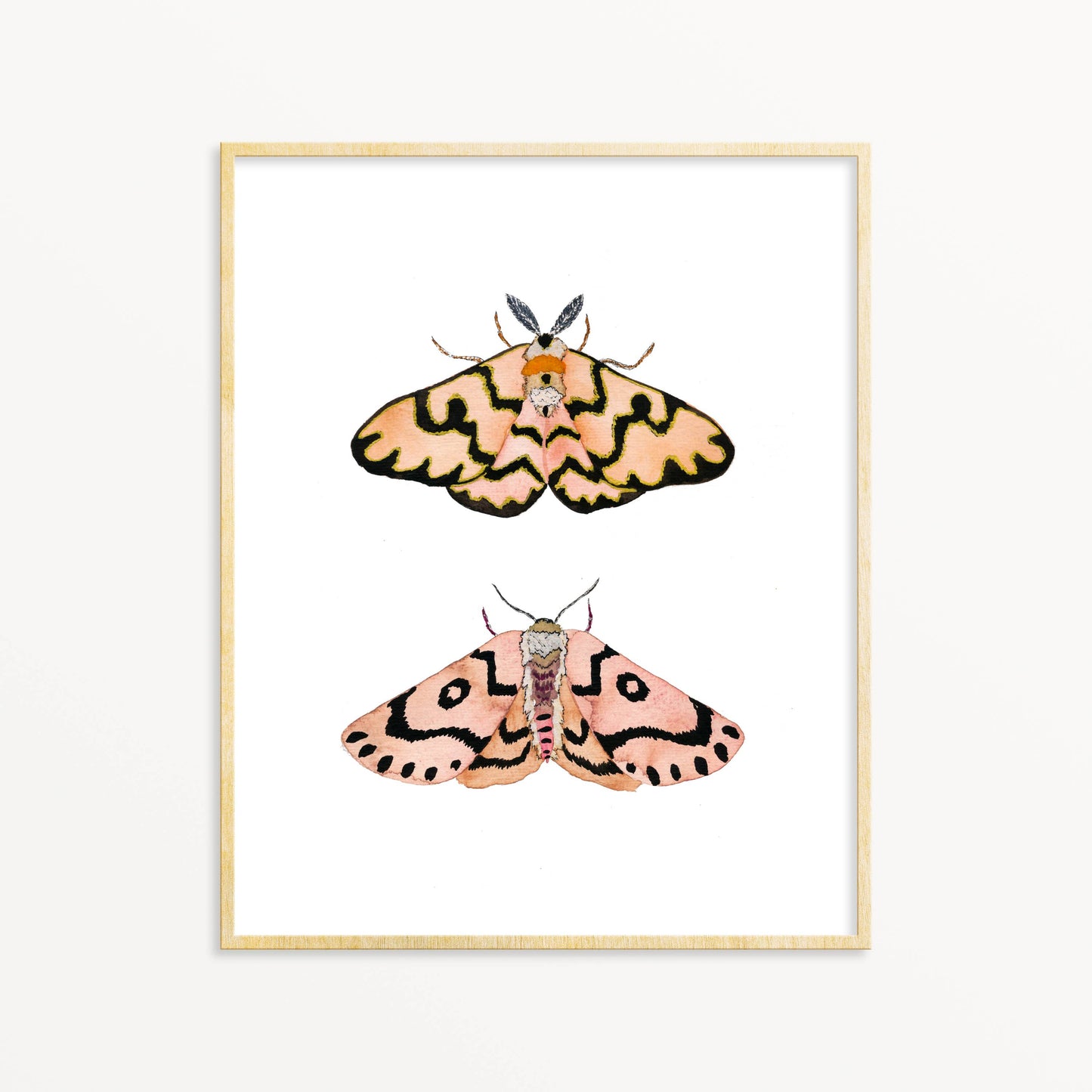 TWO MOTH ART PRINT