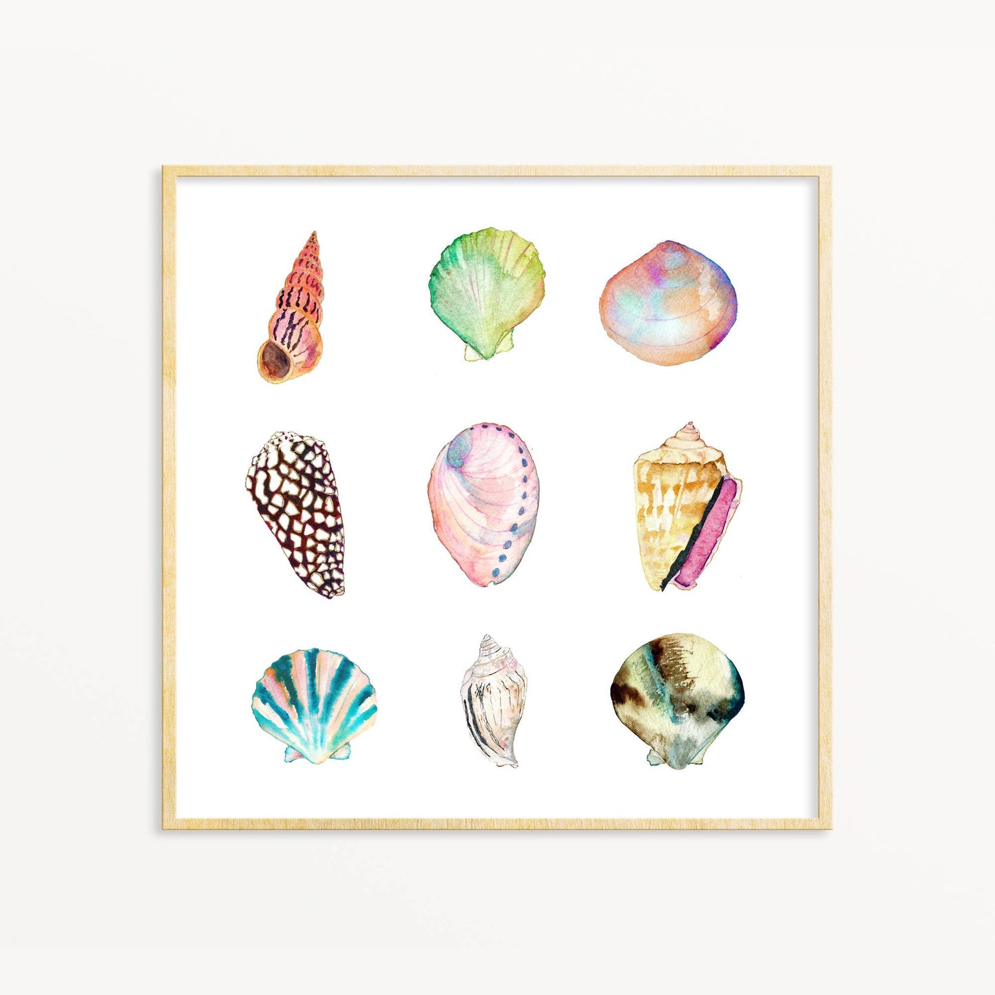 SEASHELL ART PRINT