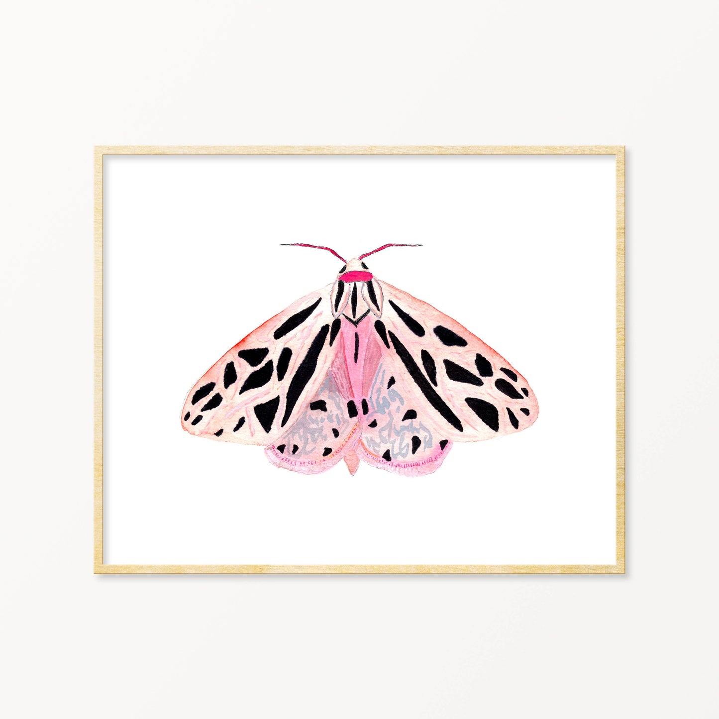 MOTH #4 ART PRINT