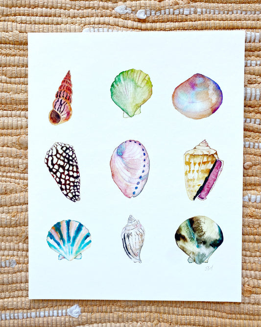 SEASHELL ART PRINT