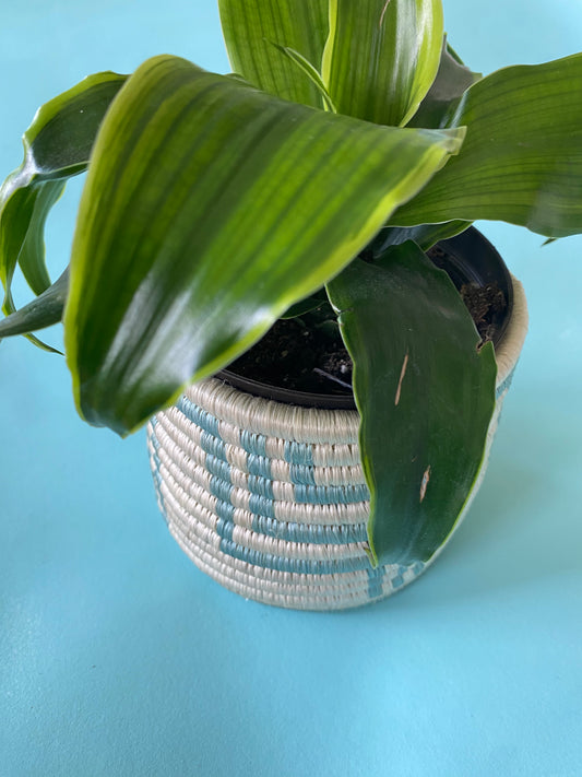 LIGHT BLUE + WHITE PLANTER BASKET