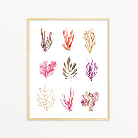 SEA LIFE ART PRINT